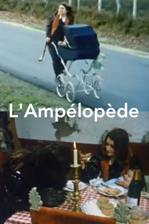 Постер L'Ampélopède